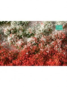 726-32S - FLORES EN VERANO...