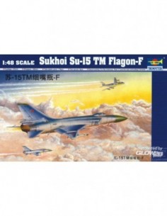 SUKHOI SU-15 TM FLAGON F