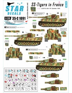 35-C1091 SS-TIGERS IN...