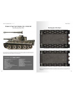 TANKS OF THE WEHRMACHT WWII... 2