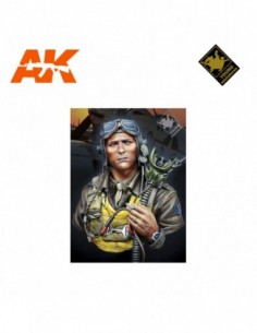 USAAF FIGHTER PILOT 1944